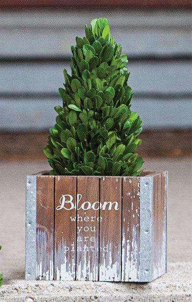 Bloom Where You're Planted Box - The Fox Decor